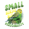 Small Birds Big Personality, Budgie