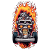 Skull Biker