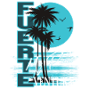 Fuerteventura Palm Sunset My Place Shirt