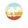 Dromedary Retro