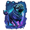 Pug Dog Midnight Magic