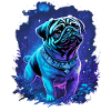 Chien carlin mignon mystique