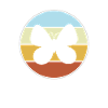 Papillon Rétro