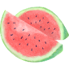 MELON VIBE