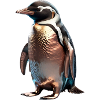 The Bronze Penguin