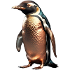 The Bronze Penguin