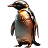 The Bronze Penguin