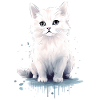 Cute white cat