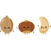 Peanut Allergy Nut Allergy Awareness
