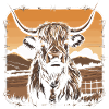 Scottish Highland cattle