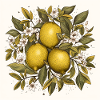 Lemons