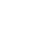 Evolution - Künstliche Intelligenz - KI