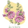 Mallow pink botanical drawing