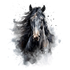 Cheval noir