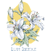 Botanische Zeichnung der orientalischen Lilie
