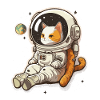 Feline Space Adventure
