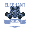 Elephant Bodybuilding Powerlifting Weightlifting