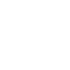 Lion Abstract