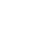 Lion Abstract