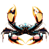 LOBSTERS
