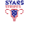 Feminist American Flag Stars