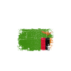 Vacances souvenirs en Zambie