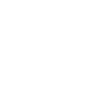 Tiger Big Cat