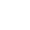 Tiger Big Cat