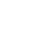 Tiger Big Cat