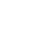 Tiger Big Cat