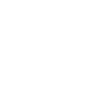 Tiger Big Cat