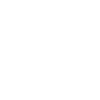 Tiger Big Cat