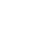 Tiger Big Cat