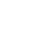 Tiger Big Cat