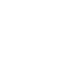 Tiger Big Cat