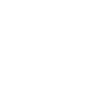 Tiger Big Cat