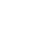 Tiger Big Cat