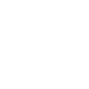 Tiger Big Cat