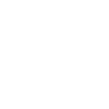 Tiger Big Cat