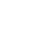 Tiger Big Cat