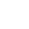 Tiger Big Cat