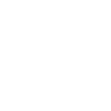 Tiger Big Cat