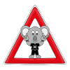 KOALA - FESTIVAL