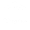 Cache Whisperer - Geocaching Geocacher