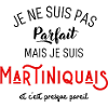 Pas parfait mais martiniquais
