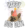 Happy International Dog Day