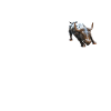 NY Stock Exchange Bull