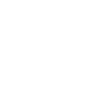 Développeur Web Développeur Web