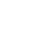 Web Developer Web Developer
