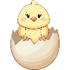 Poussin kawaii mignon, éclosion de la coquille d’œuf